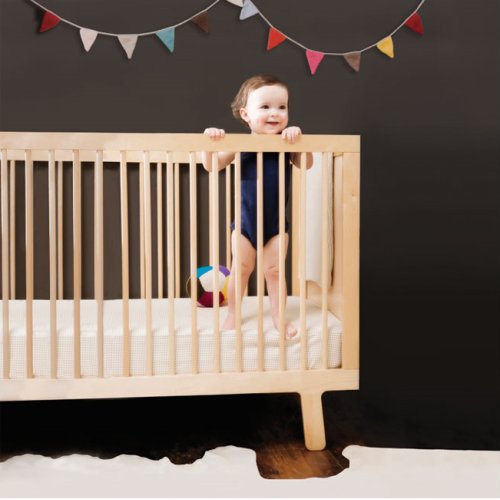 Kit de conversion Sparrow - Bouleau